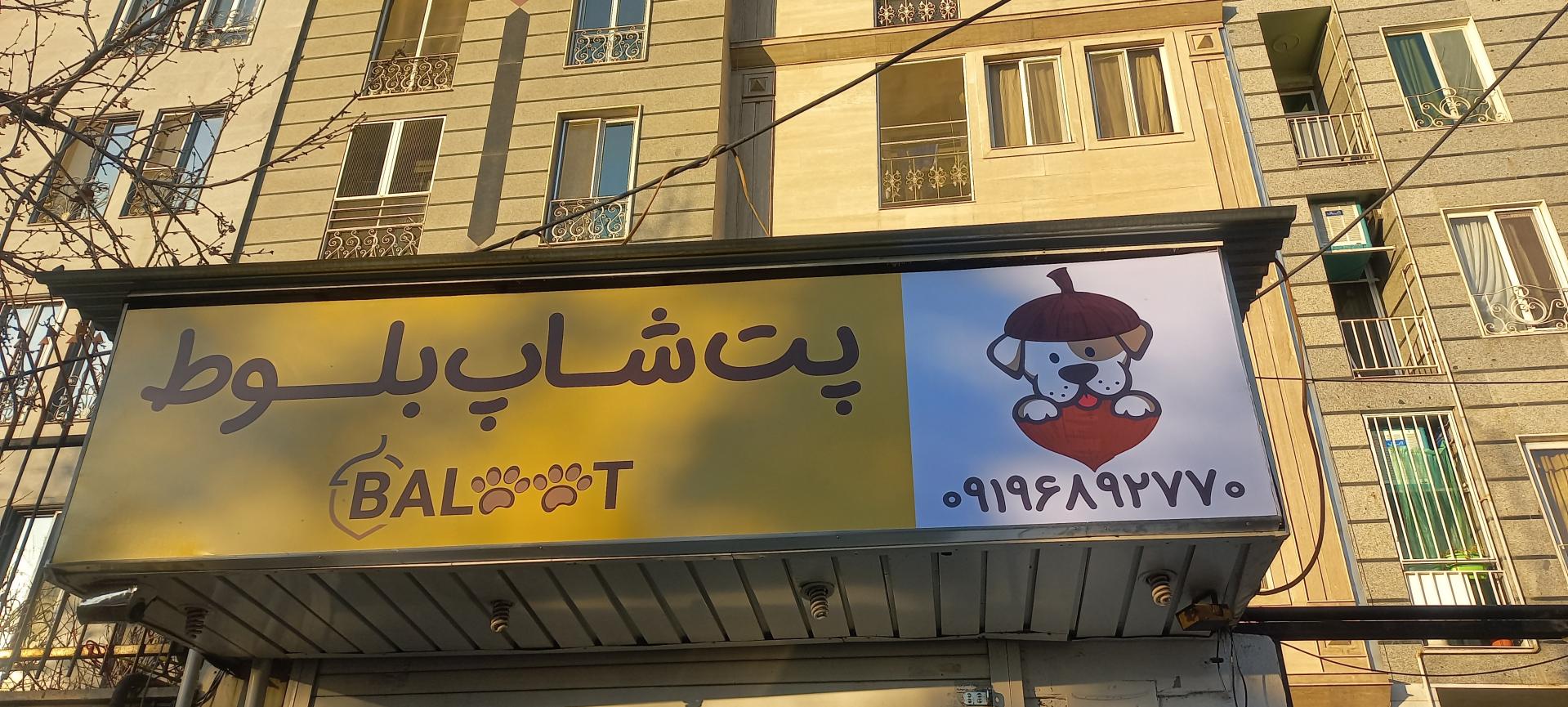 عکس پت شاپ بلوط 