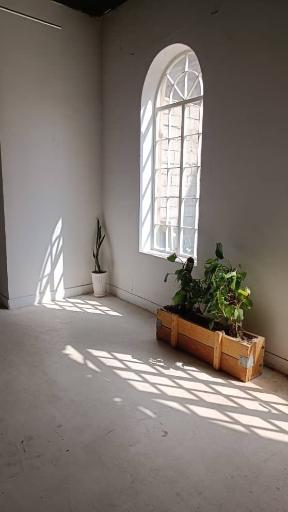 عکس استودیو ۲۱