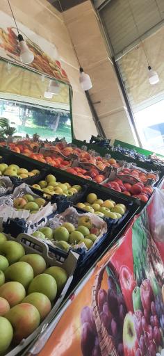 عکس میوه و تره بار محسن