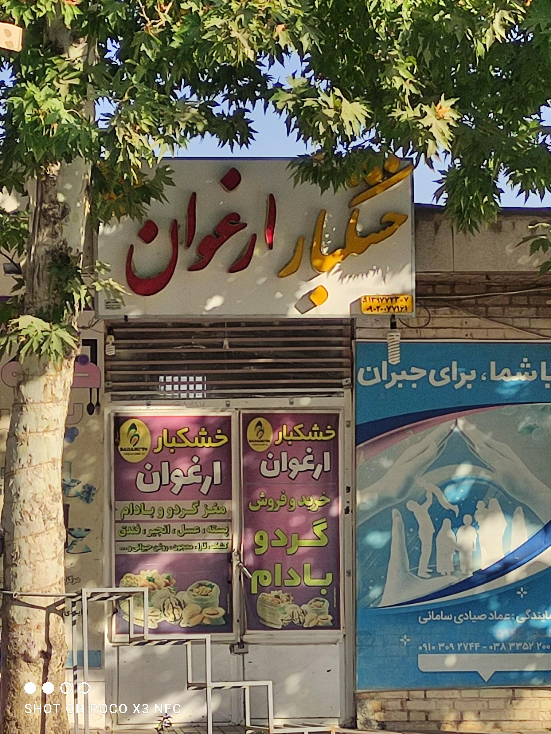 عکس خشکبار ارغوان 