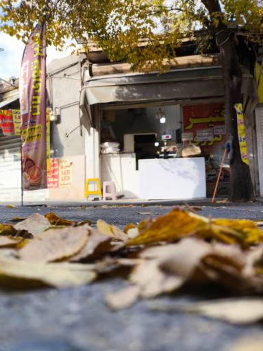 عکس فتیر پزی برتر