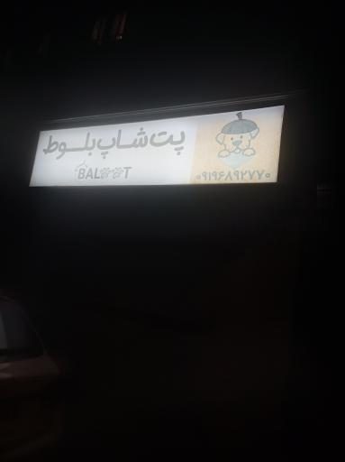 عکس پت شاپ بلوط 