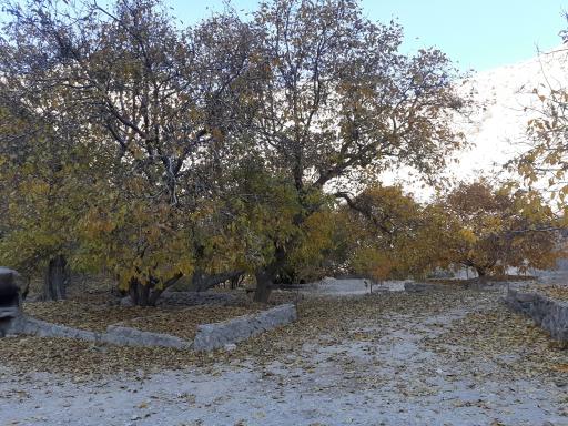 عکس مجموعه گردشگری آبشار