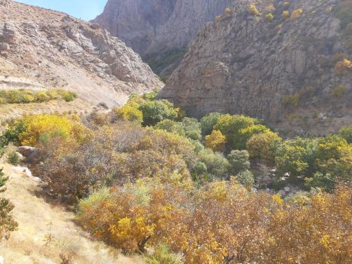 عکس مجموعه گردشگری آبشار