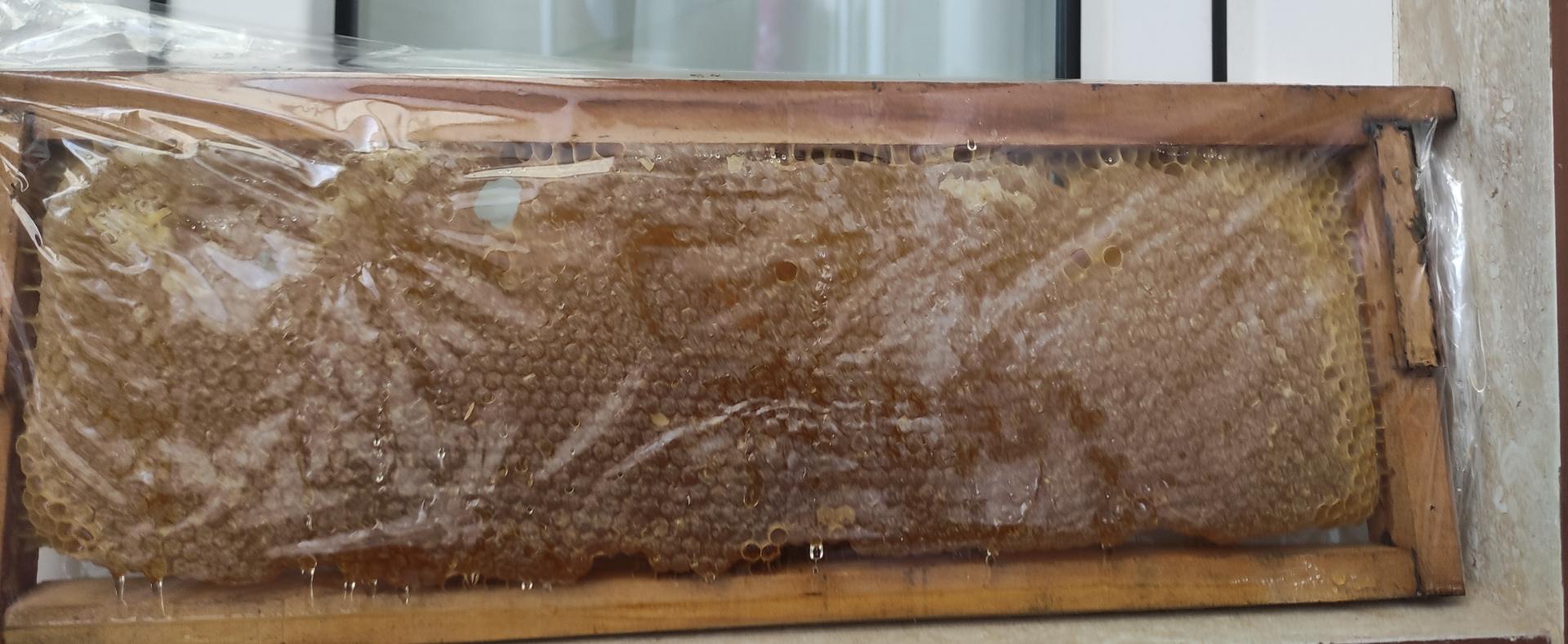 عکس عسل فروشی ادبی