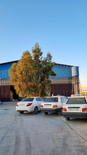 تولیدی تشک زدیکس