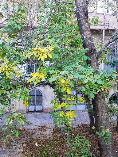 عکس کافه گلشن