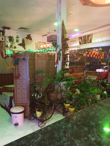 کافه سنتی دلفین 