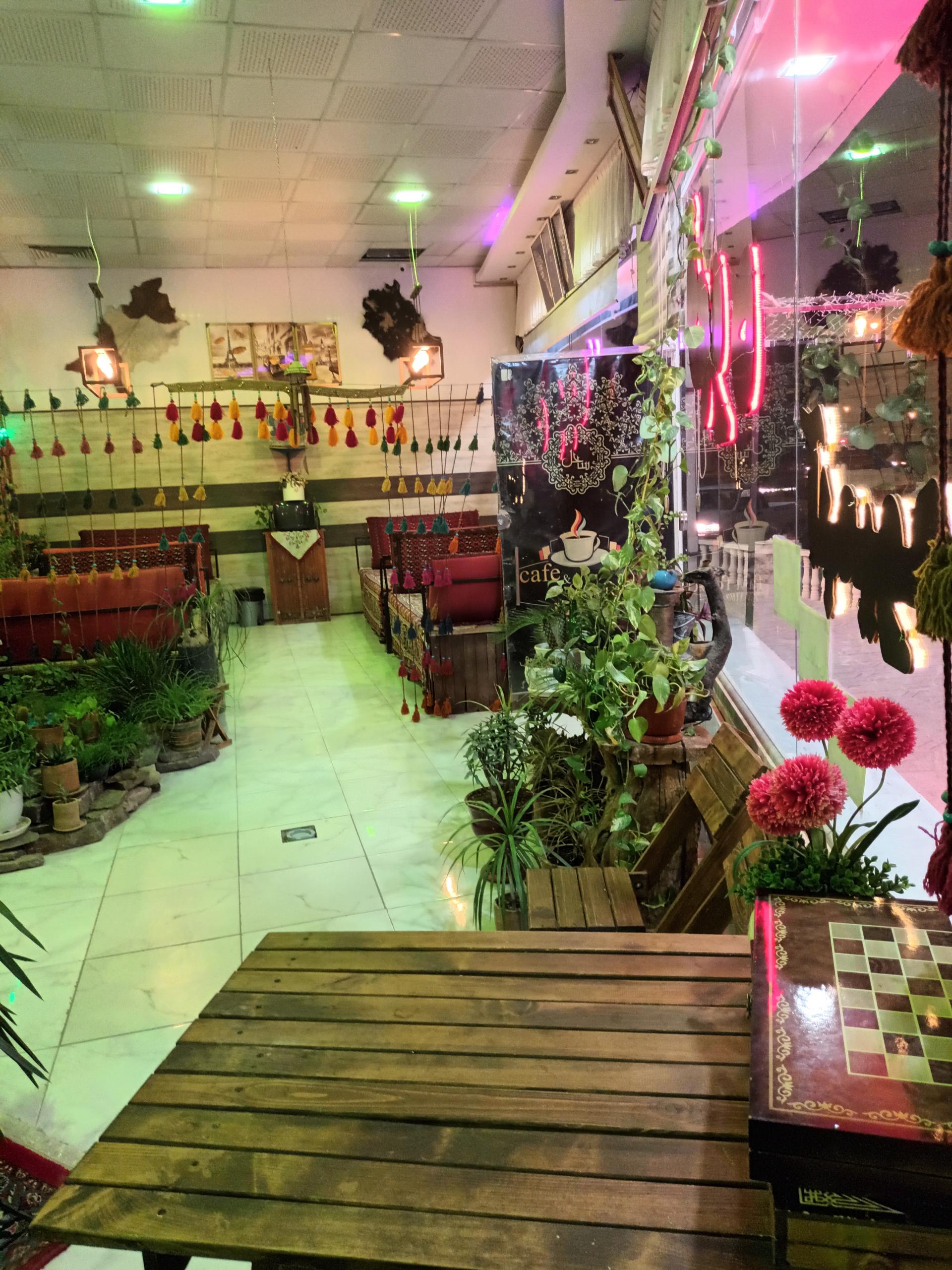 عکس کافه سنتی دلفین 