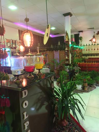 عکس کافه سنتی دلفین 