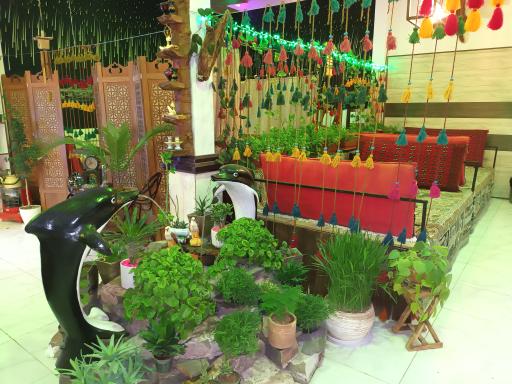 عکس کافه سنتی دلفین 