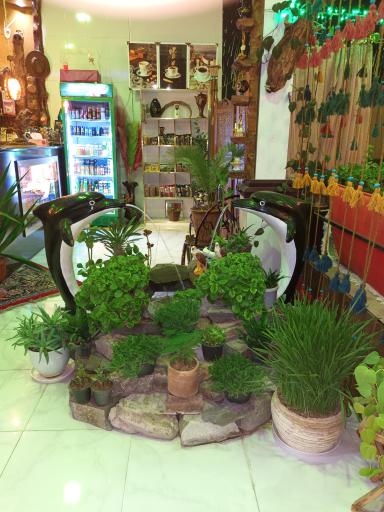 عکس کافه سنتی دلفین 