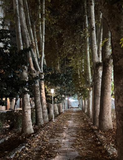 عکس رستوران پردیس فرمانیه