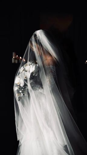 عکس آتلیه پدیده