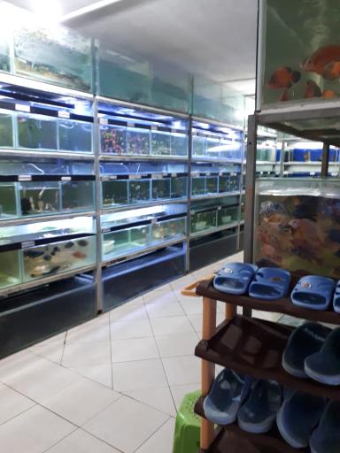 عکس مرکز تکثیر و پرورش ماهیان زینتی کاسپین