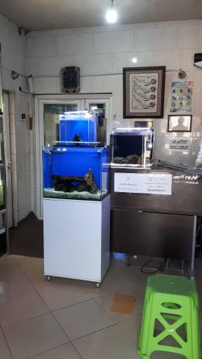 عکس مرکز تکثیر و پرورش ماهیان زینتی کاسپین