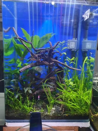 عکس مرکز تکثیر و پرورش ماهیان زینتی کاسپین