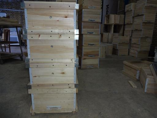 عکس سامان کندو