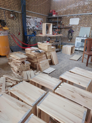 عکس سامان کندو