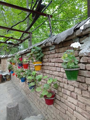 عکس اقامتگاه سرای خرم