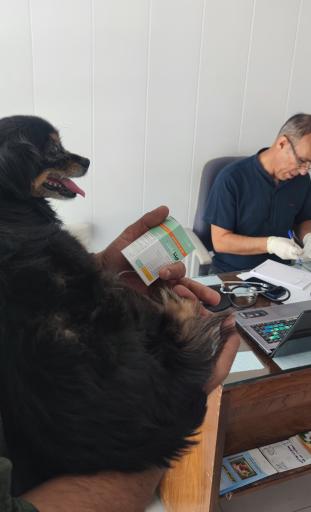 عکس کلینیک دامپزشکی دکتر موسوی‌نسب