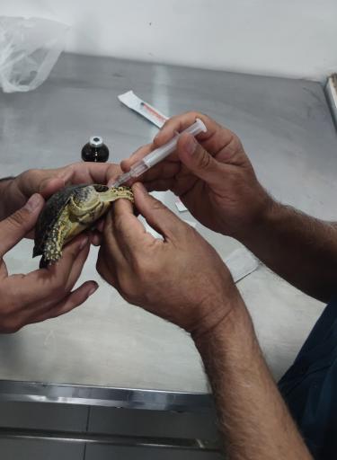 عکس کلینیک دامپزشکی دکتر موسوی‌نسب