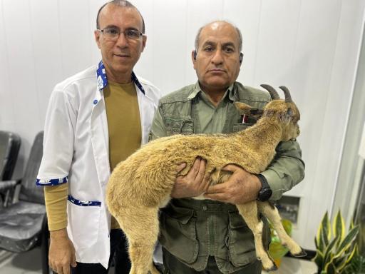 کلینیک دامپزشکی دکتر موسوی‌نسب