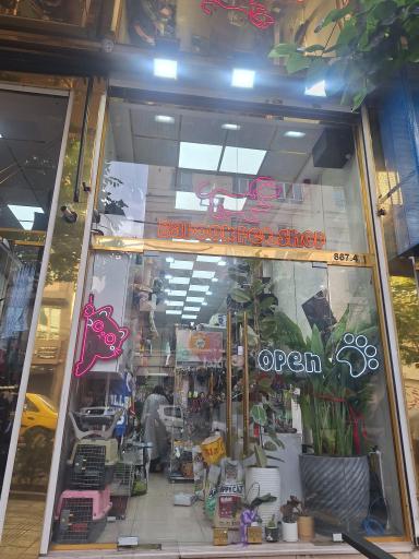 عکس پت شاپ باپوک