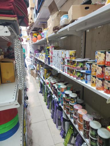 عکس پت شاپ باپوک