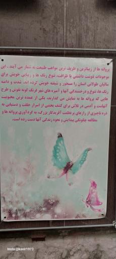 باغ پروانه ها