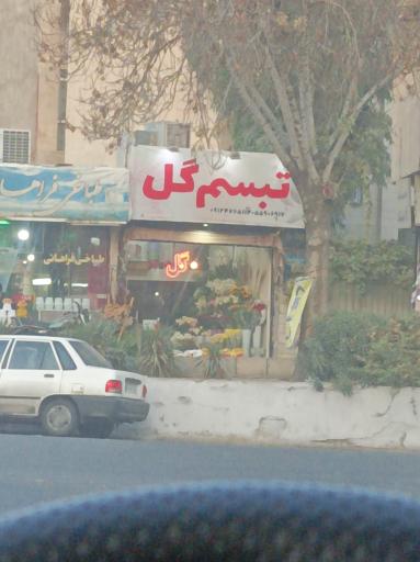 تبسم گل