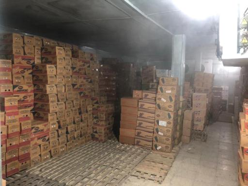 عکس نمایندگی پخش بستنی و خامه قنادی شایان