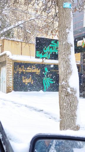 عکس پوشاک زنانه رامونا 