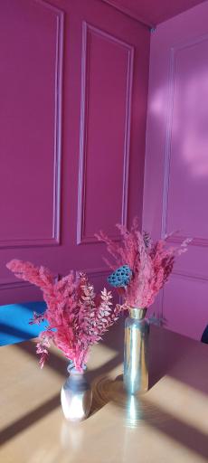 عکس کافه فست فود آلما