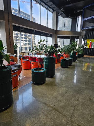 تم فود سیتی استار (فودکورت سیتی استار)