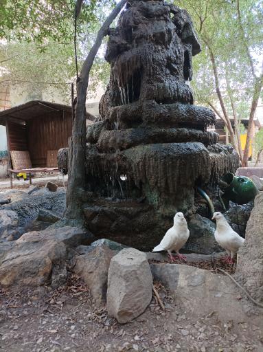 عکس رستوران آبشار