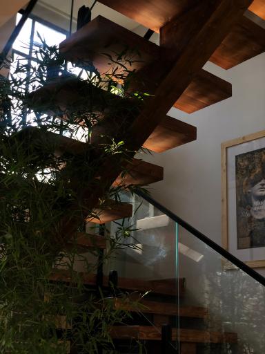 عکس کافه رَس