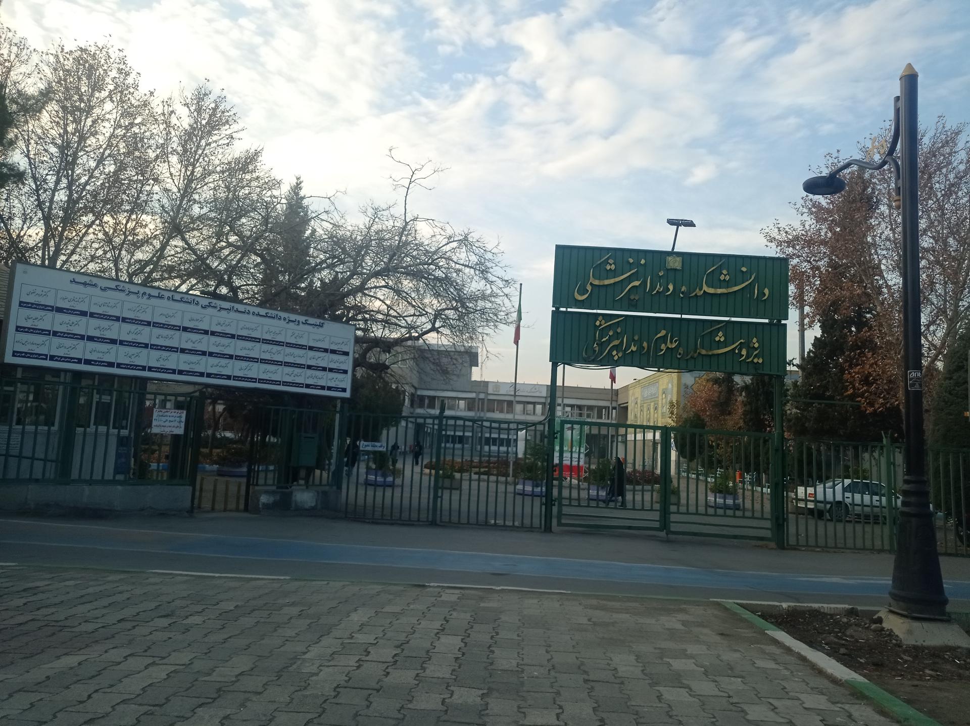 عکس دکتر صالحه سکندری