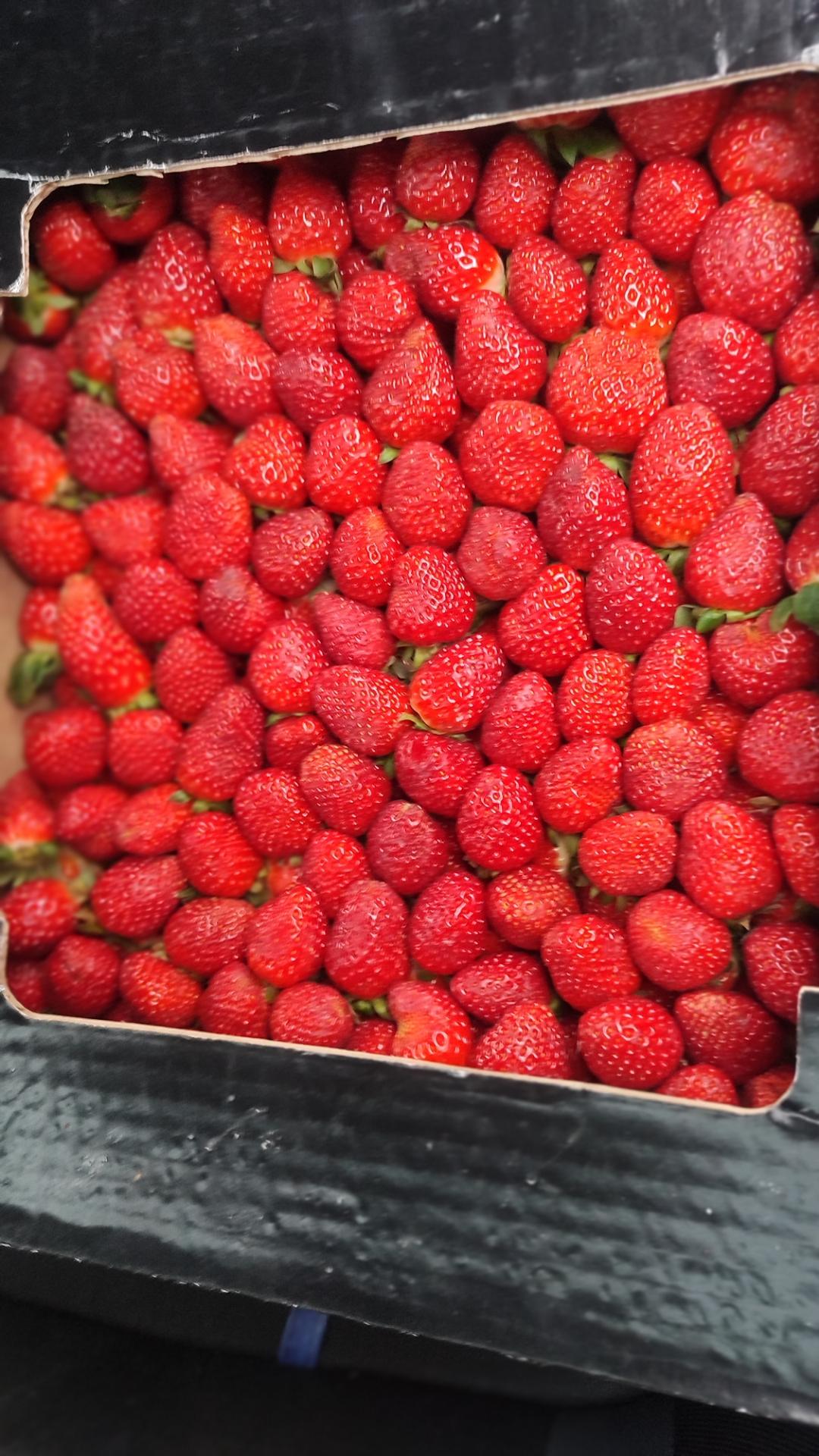 عکس سبزی فروشی جواد 