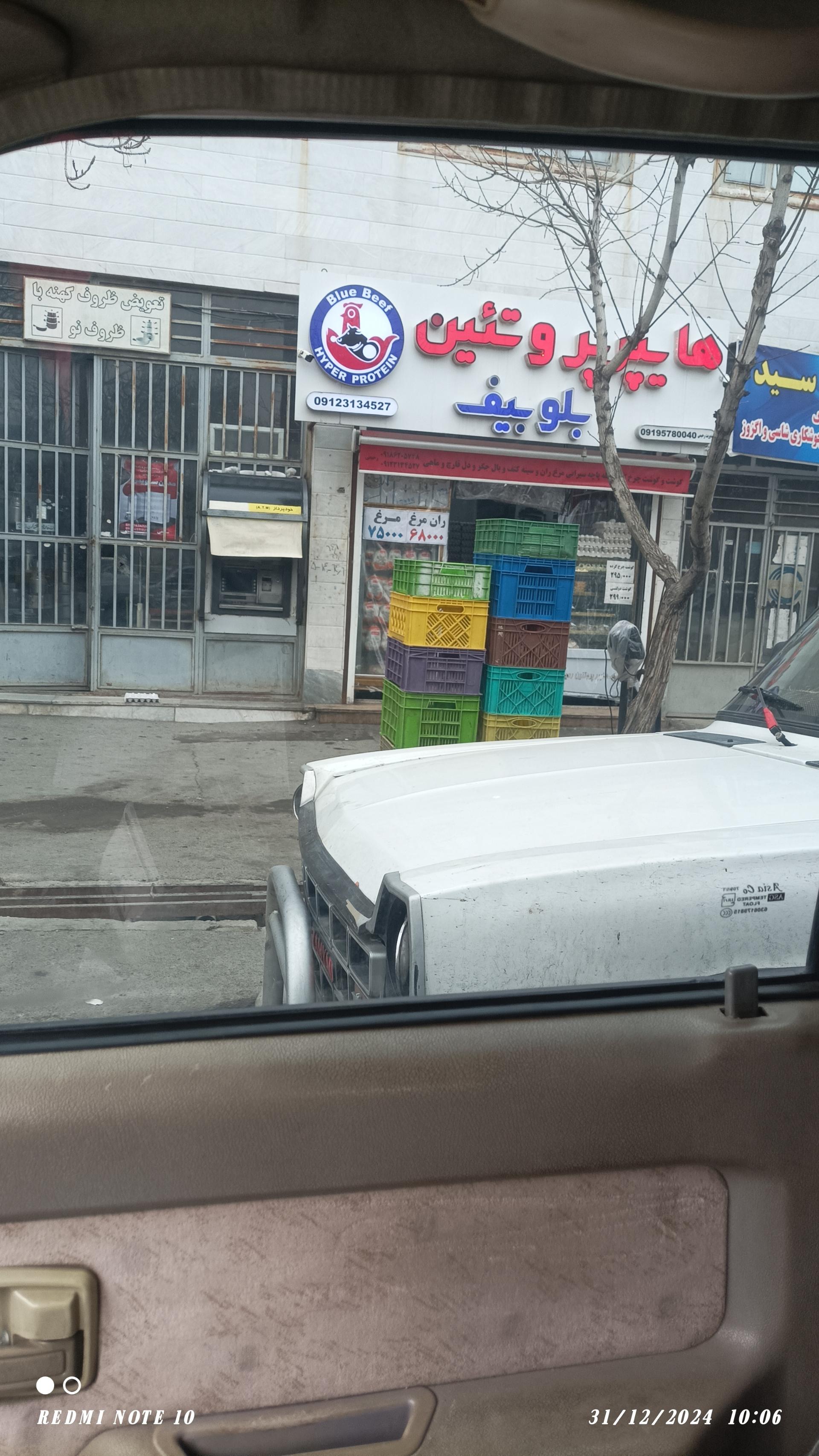 عکس پروتیین بلوبیف