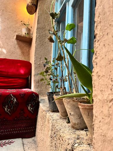 عکس اقامتگاه بومگردی گنجعلی 