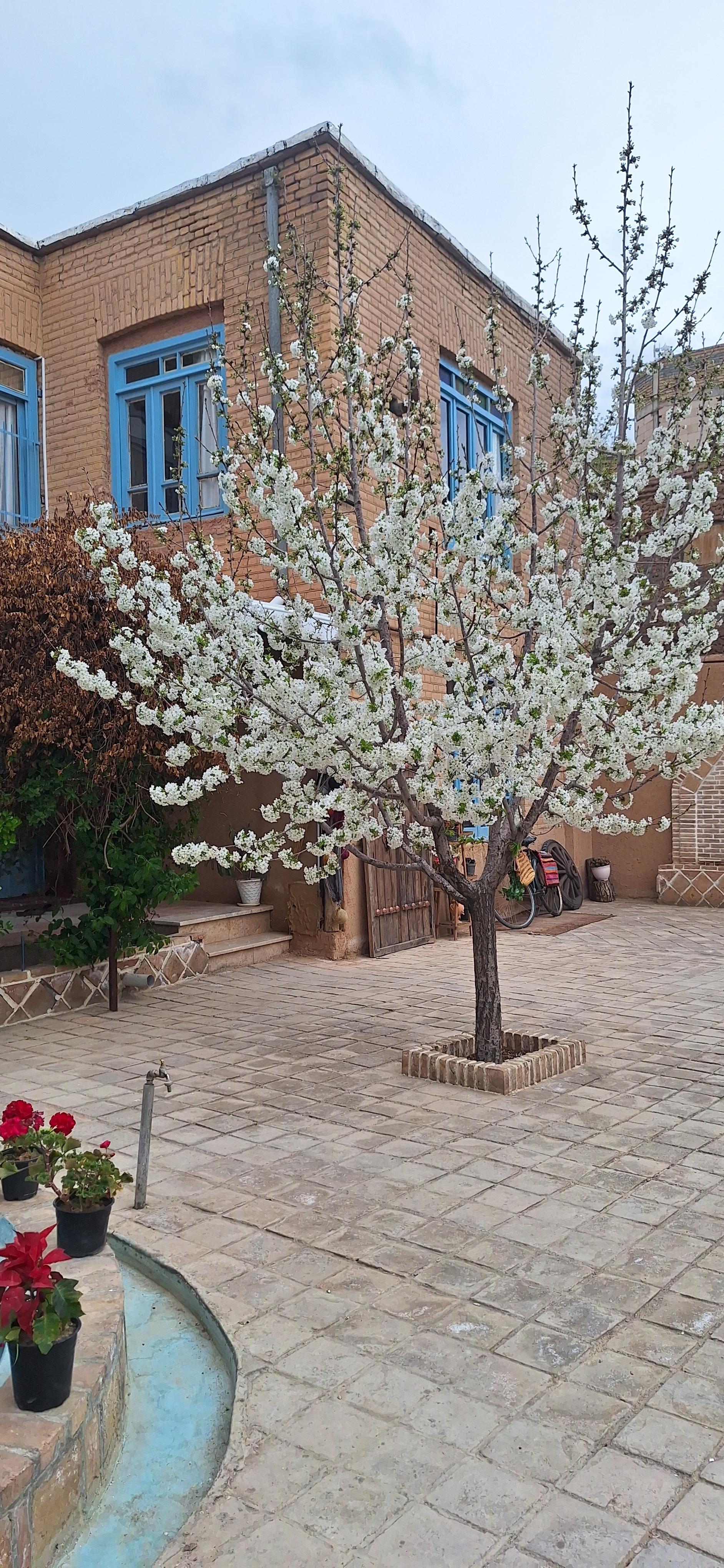 عکس اقامتگاه بومگردی گنجعلی 