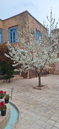 عکس اقامتگاه بومگردی گنجعلی 