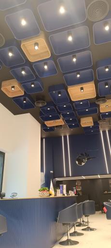 شرکت پرواز هدهد