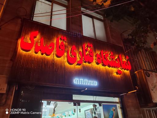 قصر قناری قاصدک 