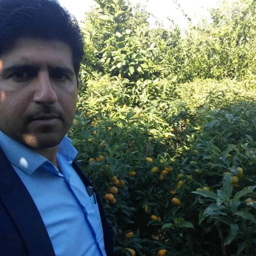 عکس نهالستان آراسته (شعبه ماهفورجک)