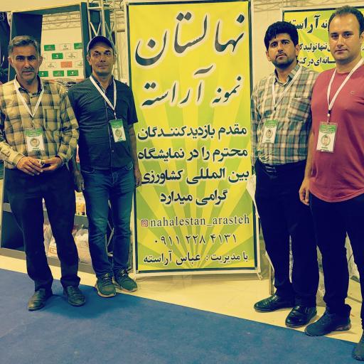 عکس نهالستان آراسته (شعبه ماهفورجک)