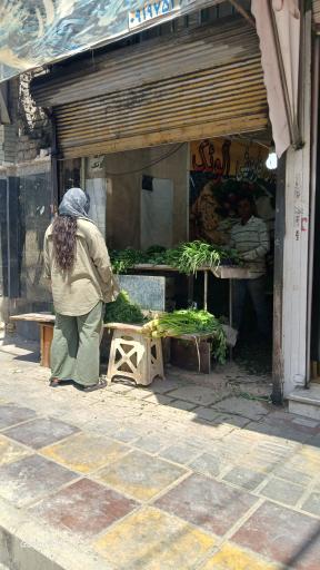 سبزی فروشی آلونک