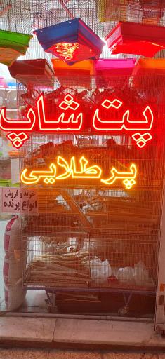 عکس پت شاپ پرطلایی 