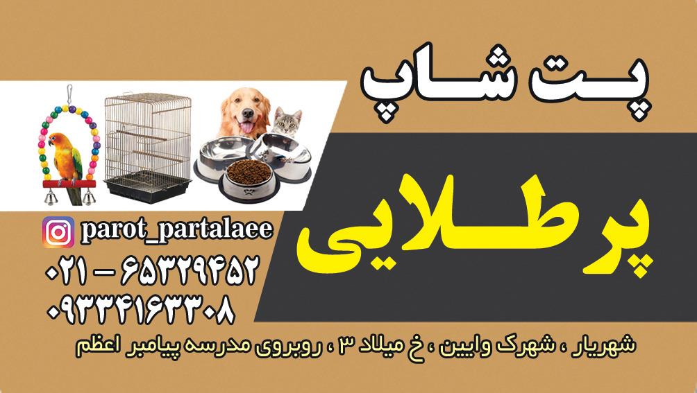 عکس پت شاپ پرطلایی 